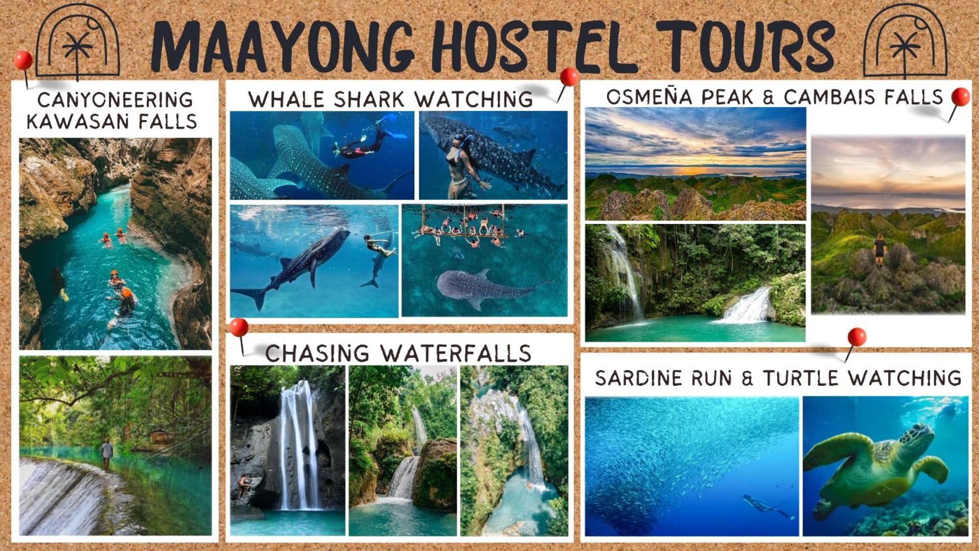 Maayong Hostel (Adults Only) Моалбоал Екстериор снимка